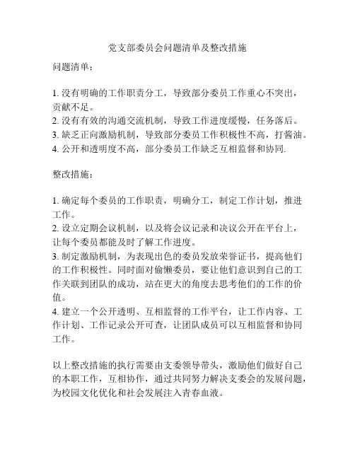 党支部委员会问题清单及整改措施