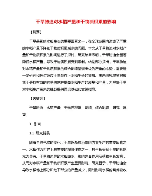 干旱胁迫对水稻产量和干物质积累的影响