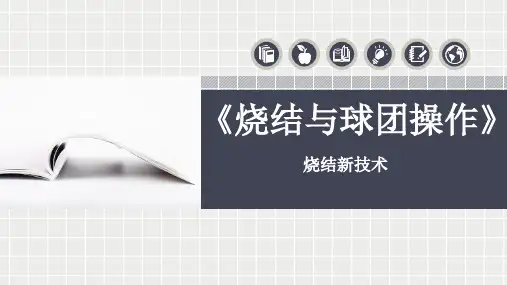 烧结与团球操作-烧结新技术