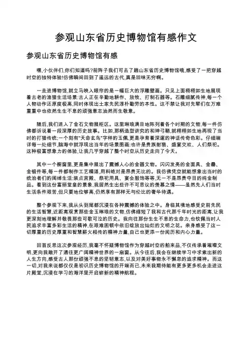参观山东省历史博物馆有感作文