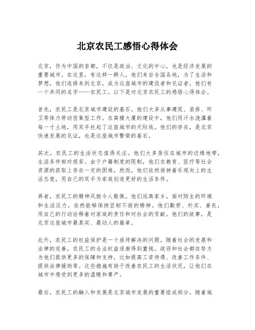 北京农民工感悟心得体会