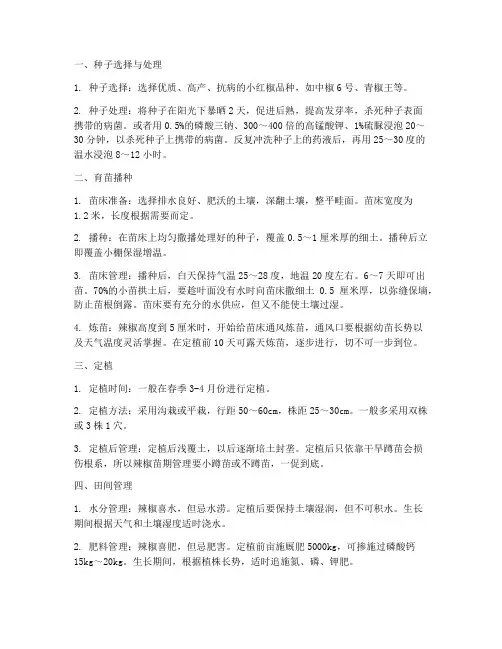 小红椒种植管理技术