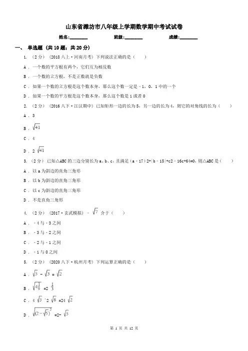 山东省潍坊市八年级上学期数学期中考试试卷