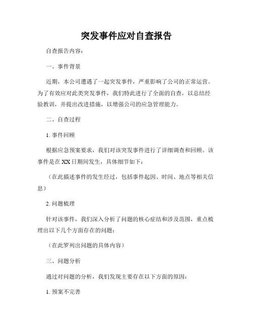 突发事件应对自查报告