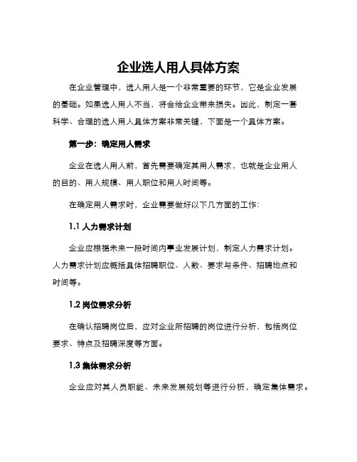 企业选人用人具体方案