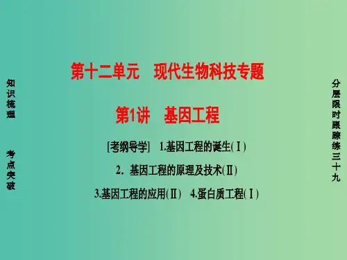 高考生物一轮复习 第12单元 现代生物科技专题 第1讲 基因工程课件