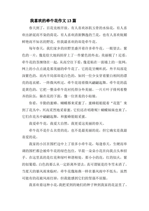 我喜欢的牵牛花作文精选
