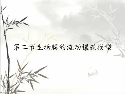 第二节生物膜的流动镶嵌模型