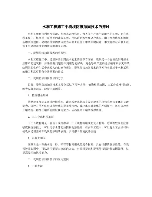 水利工程施工中堤坝防渗加固技术的探讨