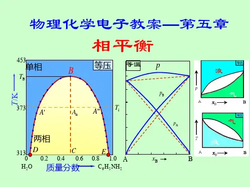 物理化学(上)课件 05章 相平衡
