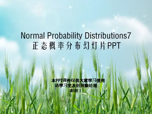 Normal Probability Distributions7正态概率分布幻灯片PPT