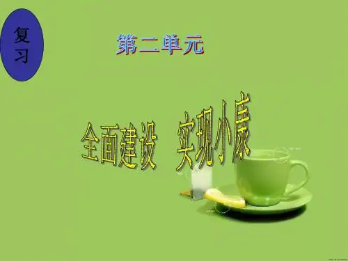 粤教版九年第二单元《全面建设+实现小康》ppt复习课件