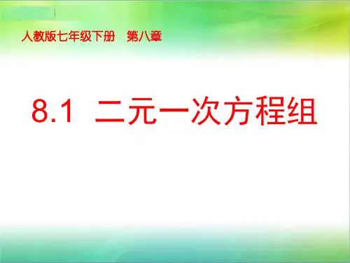 七年级数学下册教学课件-8.1二元一次方程组20-人教版