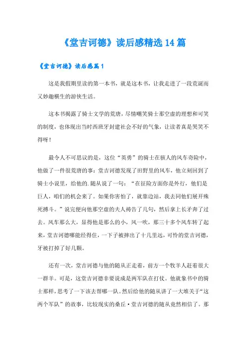 《堂吉诃德》读后感精选14篇