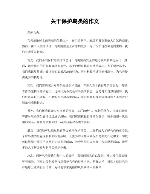 关于保护鸟类的作文