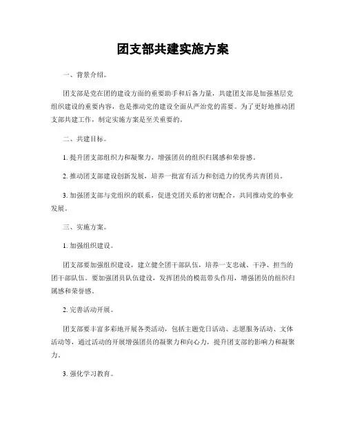 团支部共建实施方案