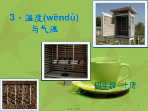 教科小学科学四上《1.3、温度与气温》PPT课件(1)