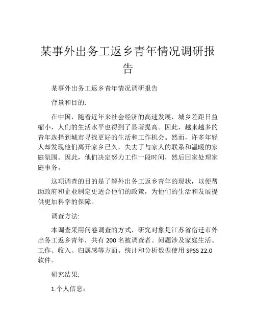 某事外出务工返乡青年情况调研报告