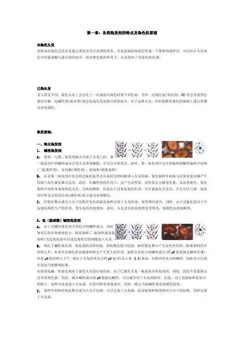 染发产品成分及作用原理