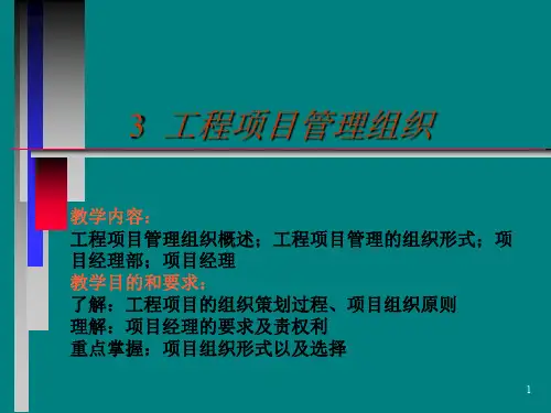 工程项目管理组织与团队建设(118页)