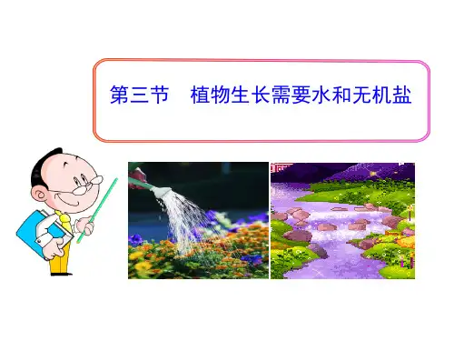 举例说明植物生长需要的主要无机盐及其作用