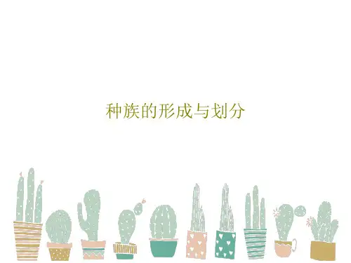 种族的形成与划分共42页PPT