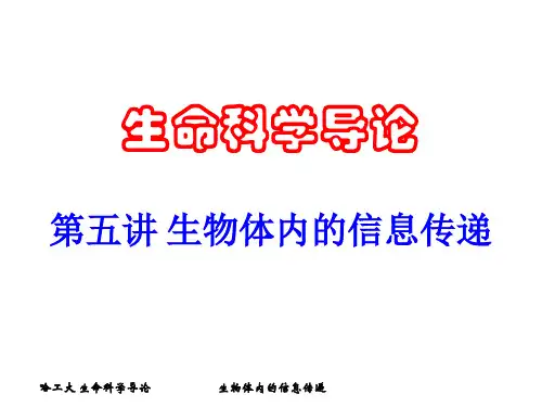 生命科学导论 信息传递 2013春