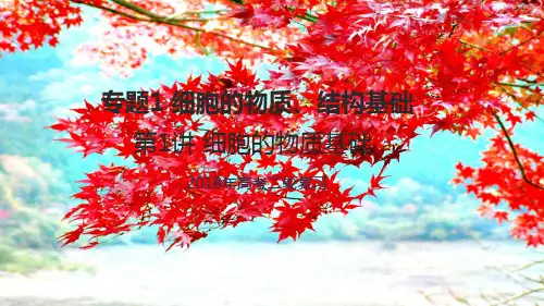 高考生物二轮复习专题1细胞的物质结构基础第1讲细胞的物质基础课件高三全册生物课件