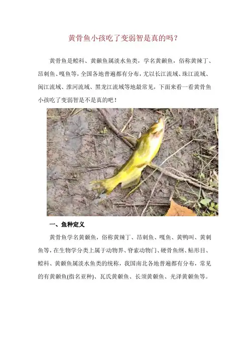 黄骨鱼小孩吃了变弱智是真的吗？