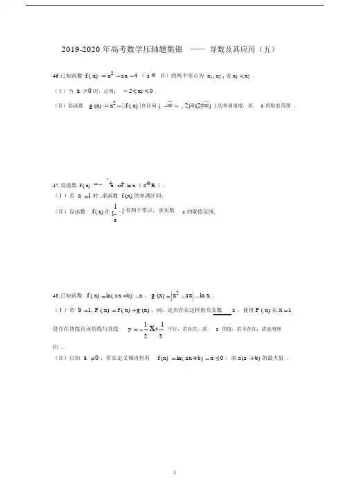 2019-2020年高考数学压轴题集锦——导数与其应用(五)