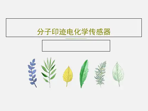 分子印迹电化学传感器34页PPT