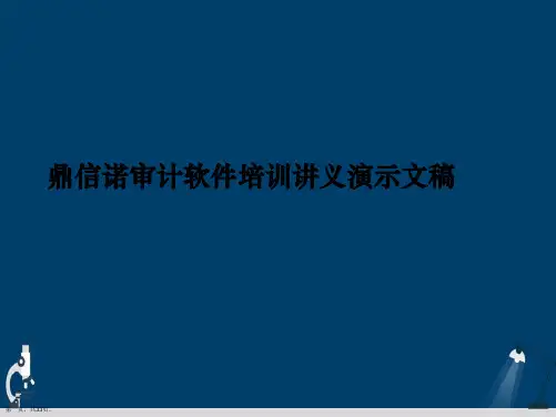 鼎信诺审计软件培训讲义演示文稿