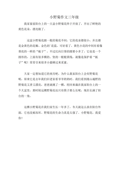 小野菊作文三年级