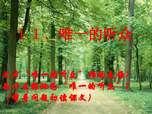 小学六年级新课标语文上册ppt课件-唯一的听众;