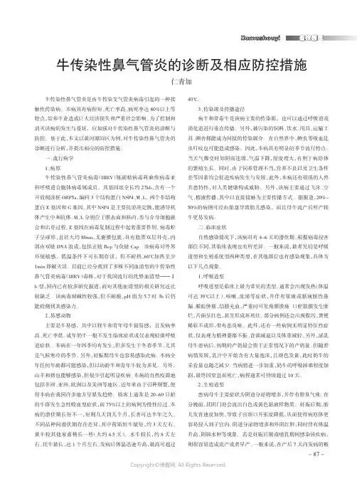 牛传染性鼻气管炎的诊断及相应防控措施
