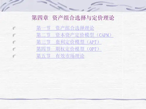 第四章资产组合选择与定价理论