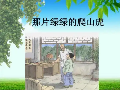 《那片绿绿的爬山虎》