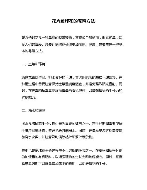 花卉绣球花的养殖方法