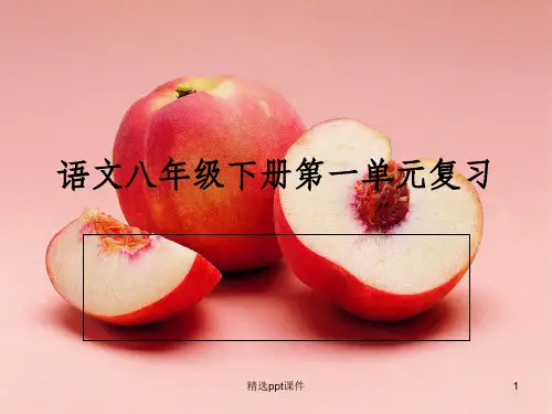 八年级下册人教版语文第一单元复习完整ppt课件