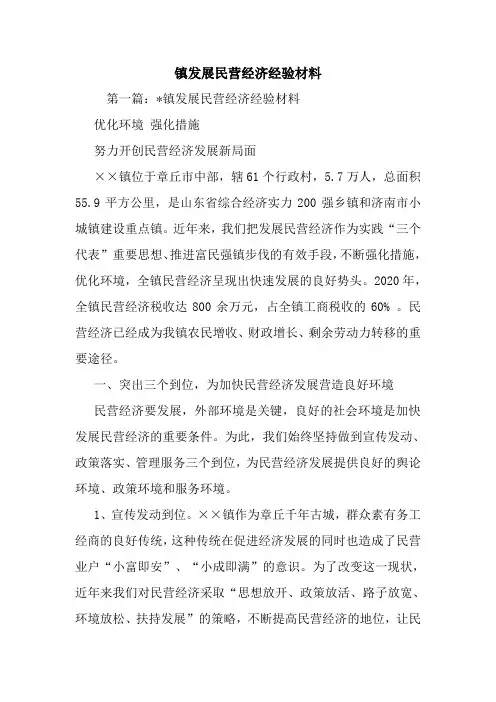 最新镇发展民营经济经验材料