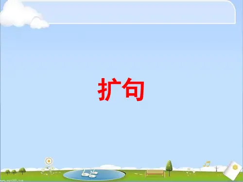 扩句、缩句、病句
