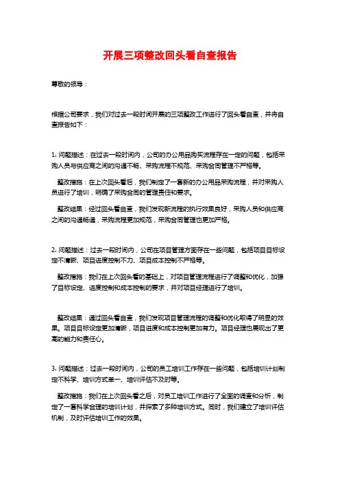 开展三项整改回头看自查报告