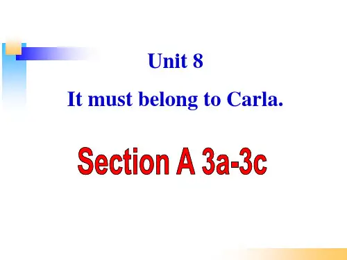 九年级新目标unit 8 SA 3a~3c课件
