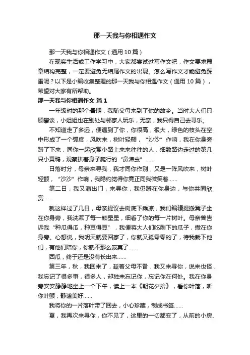 那一天我与你相遇作文