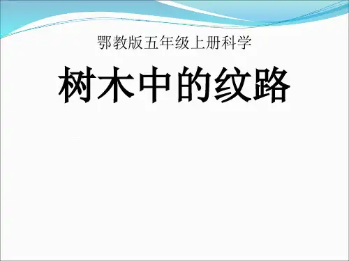 五年级上册科学课件-1.3树木中的纹路 ｜鄂教版  (共11张PPT)