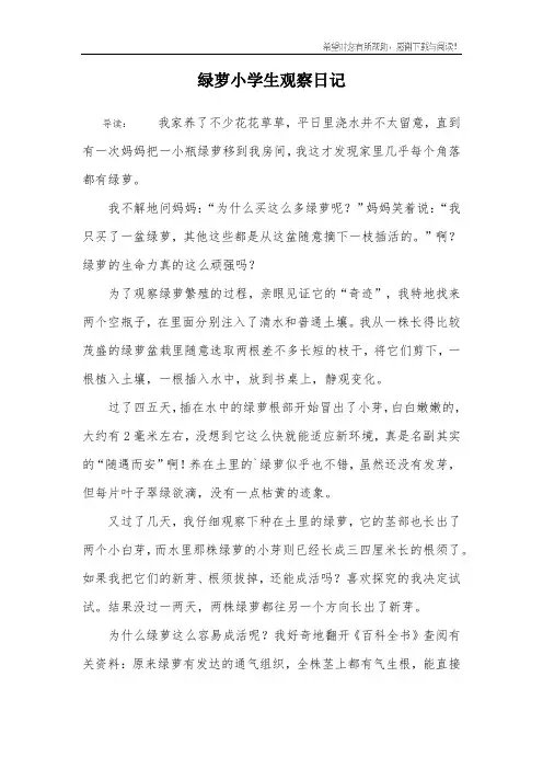 绿萝小学生观察日记