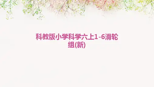 科教版小学科学六上1-6滑轮组(新)
