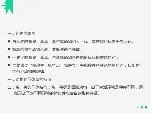 简笔画介绍大全