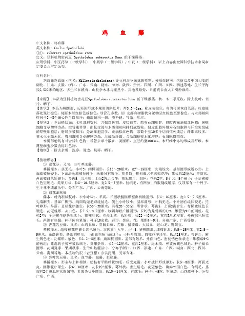 鸡血藤