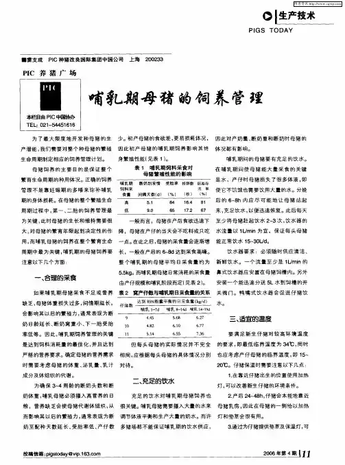 哺乳期母猪的饲养管理